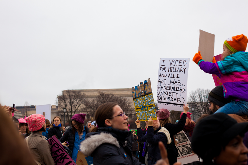 Illustration for article titled WOMEN'S MARCH ON WASHINGTON : THE SIGNS